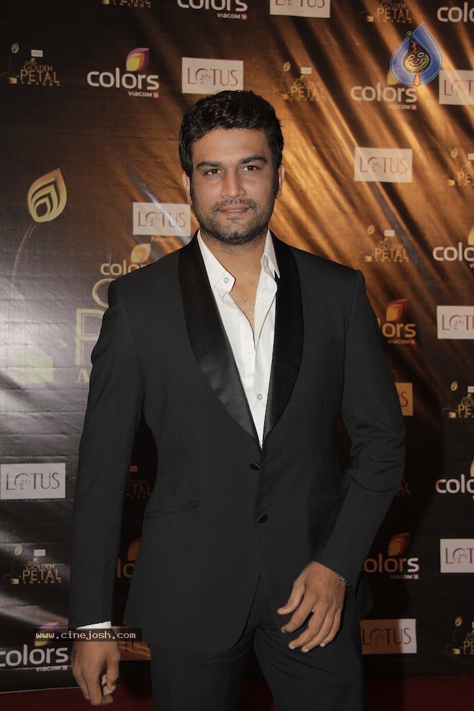 Celebs at Colors Golden Petal Awards 2012 - 70 / 86 photos