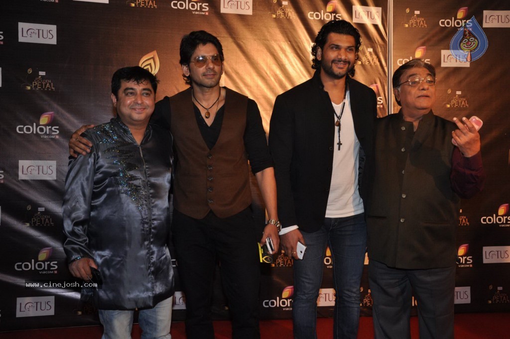 Celebs at Colors Golden Petal Awards 2012 - 73 / 86 photos
