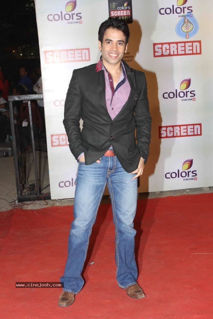 Celebs at Colors Screen Awards 2012 - 29 / 241 photos