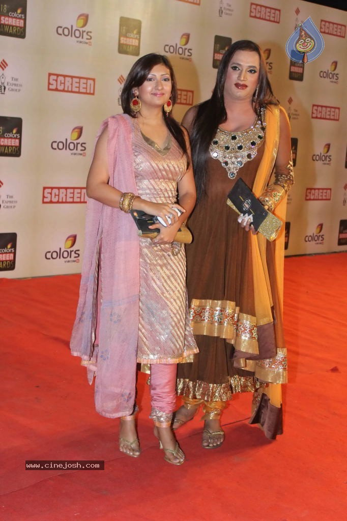 Celebs at Colors Screen Awards 2012 - 37 / 241 photos
