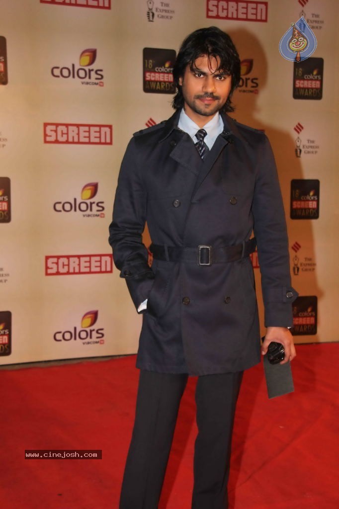 Celebs at Colors Screen Awards 2012 - 42 / 241 photos