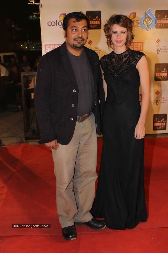 Celebs at Colors Screen Awards 2012 - 44 / 241 photos