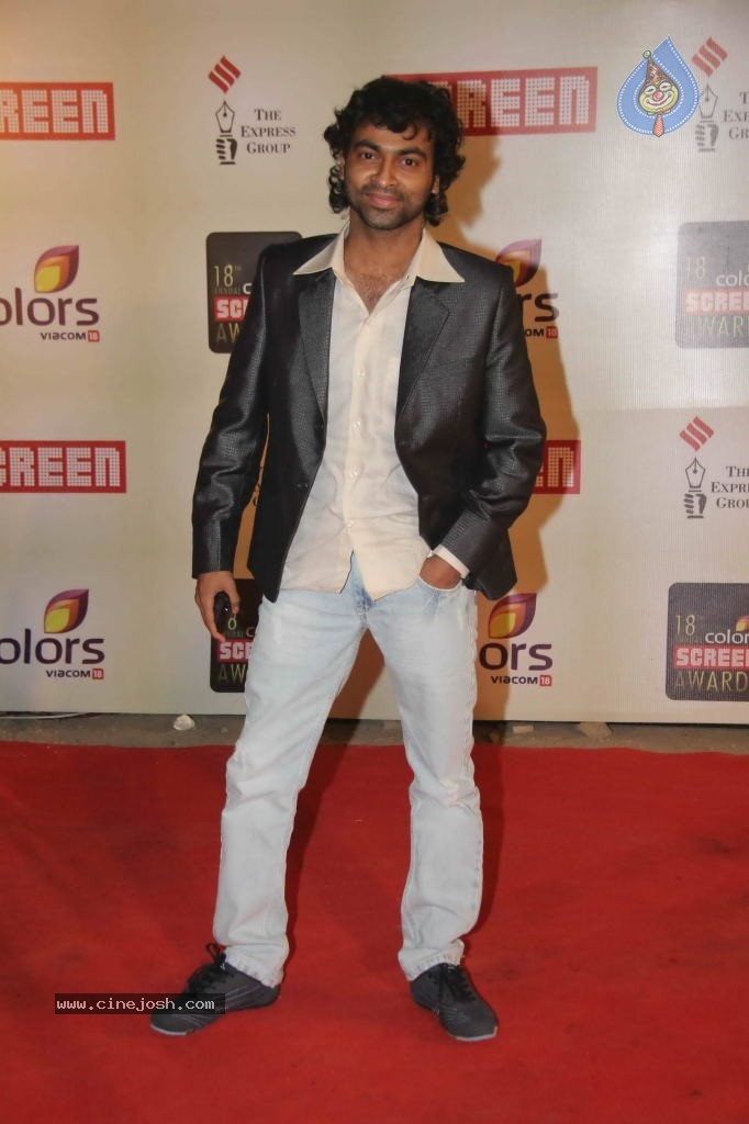 Celebs at Colors Screen Awards 2012 - 48 / 241 photos