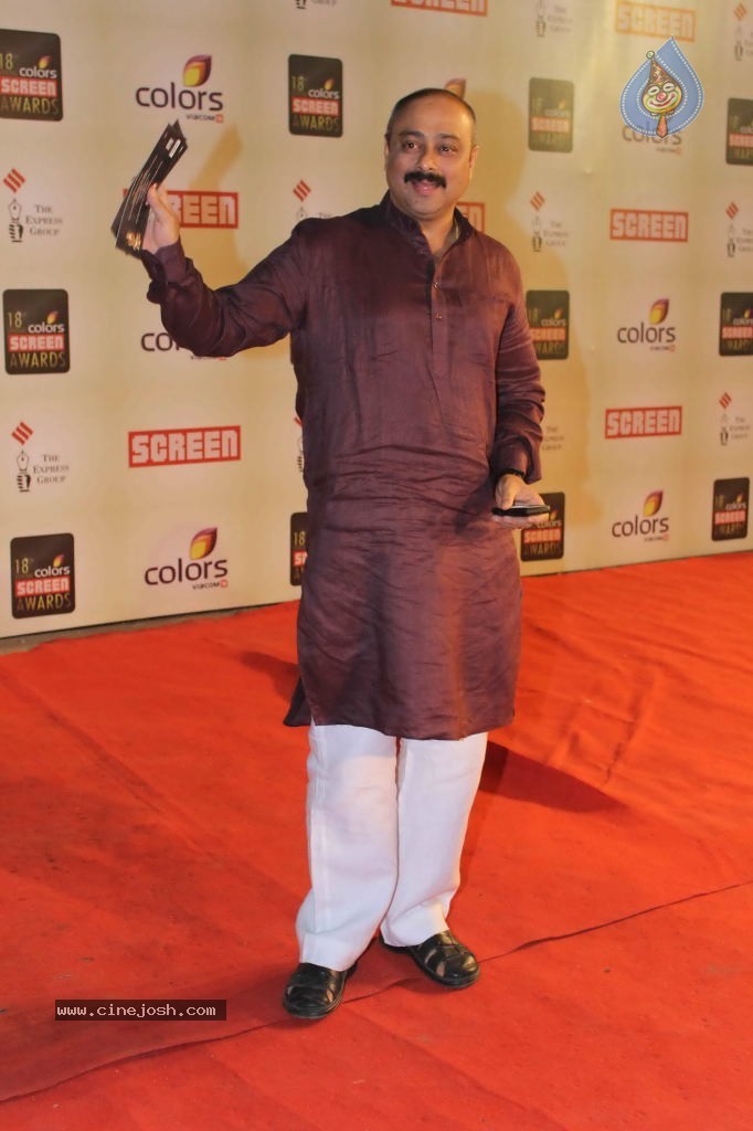 Celebs at Colors Screen Awards 2012 - 57 / 241 photos
