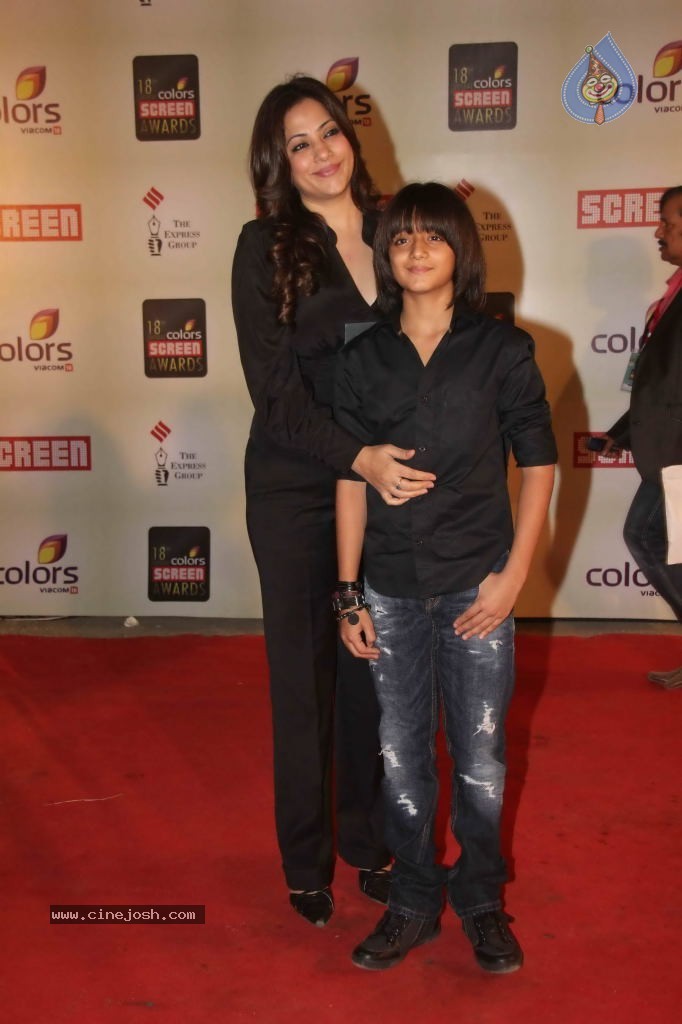 Celebs at Colors Screen Awards 2012 - 99 / 241 photos