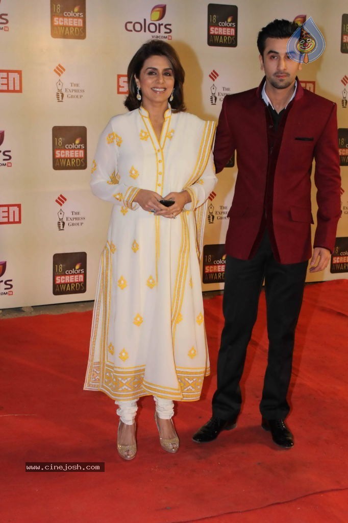 Celebs at Colors Screen Awards 2012 - 147 / 241 photos