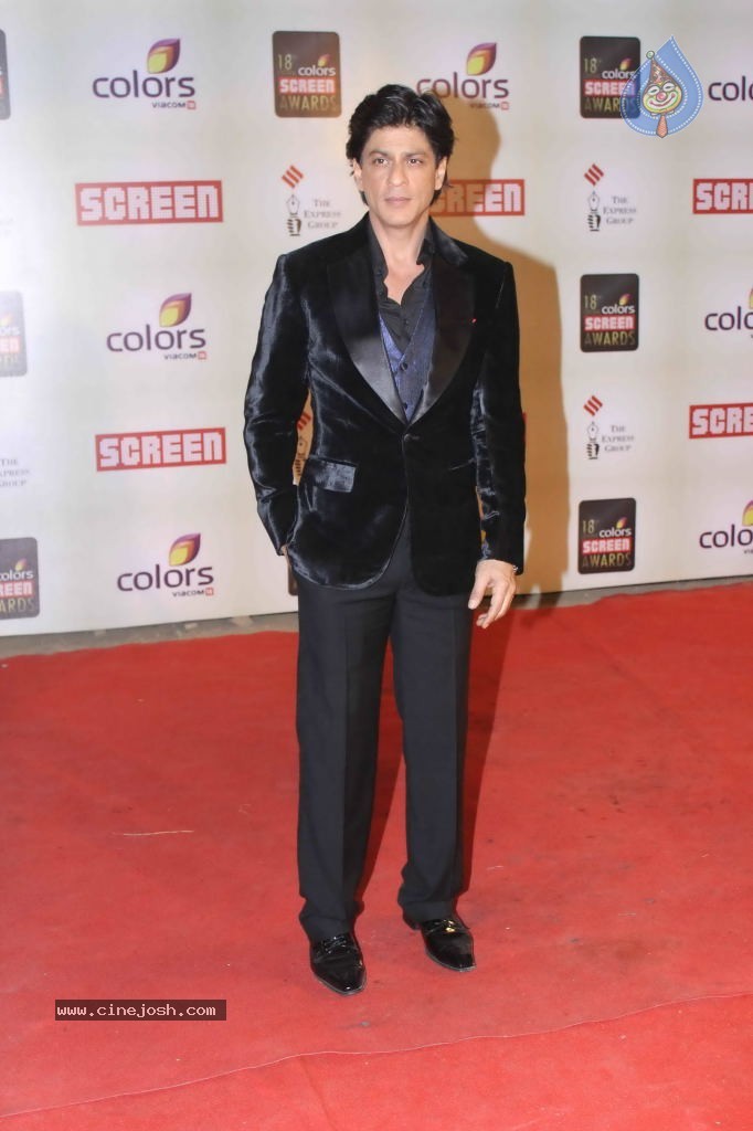 Celebs at Colors Screen Awards 2012 - 150 / 241 photos