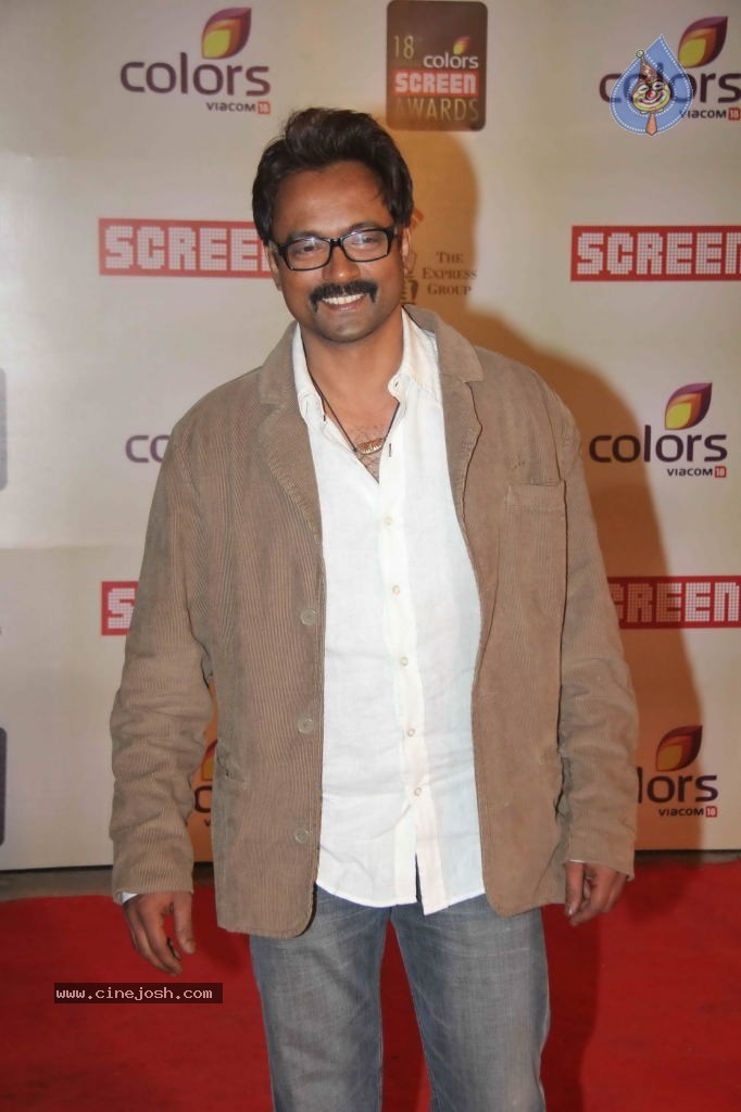 Celebs at Colors Screen Awards 2012 - 229 / 241 photos