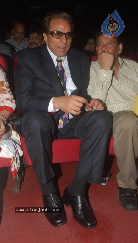 Celebs at Dadasaheb Phalke Academy Awards - 53 / 126 photos