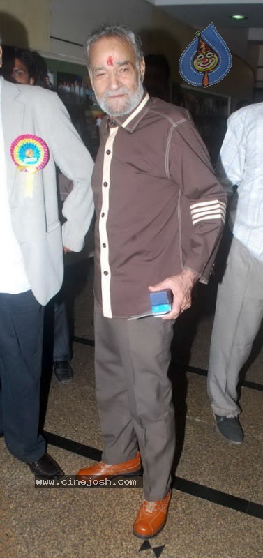 Celebs at Dadasaheb Phalke Academy Awards - 85 / 126 photos