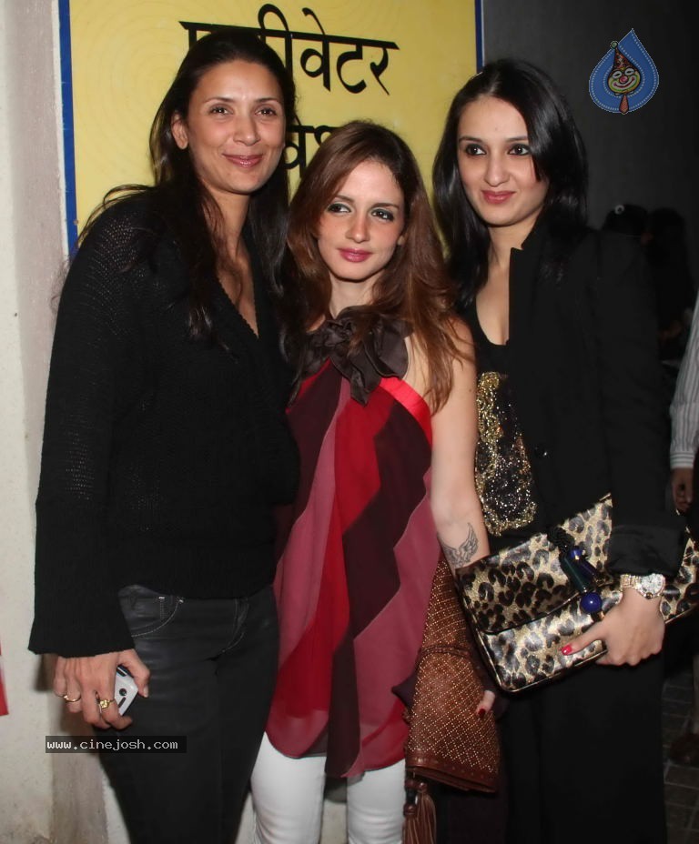 Celebs at Don 2 Movie Special Screening - 26 / 74 photos