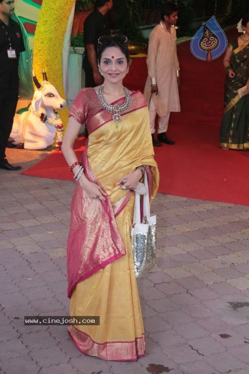 Celebs at Esha Deol Wedding - 38 / 75 photos