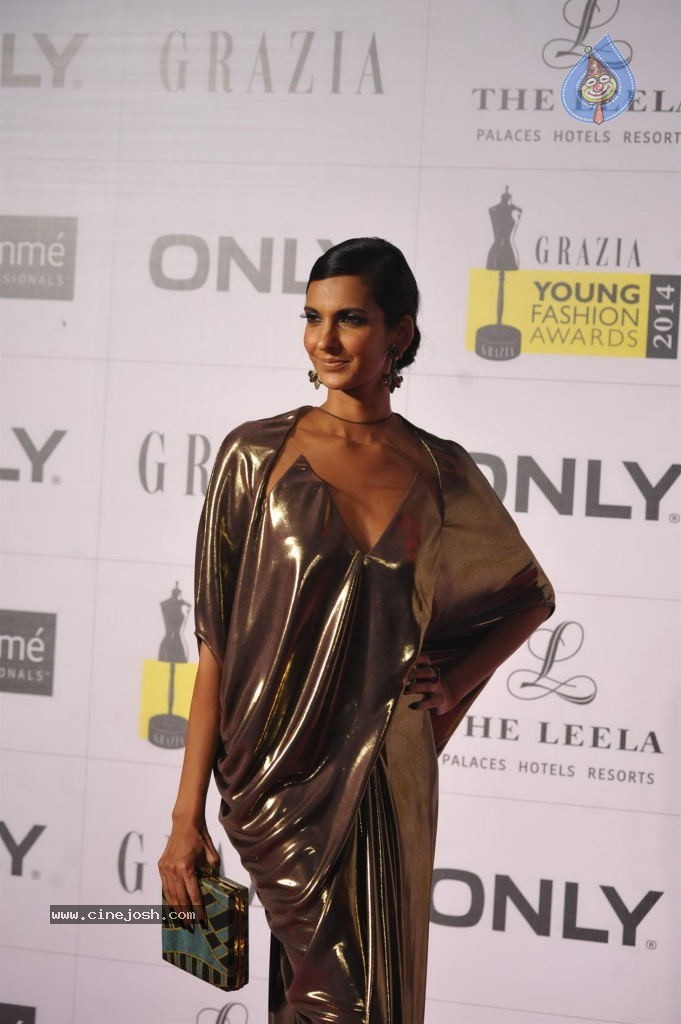 Celebs at Grazia Young Fashion Awards 2014 - 171 / 182 photos