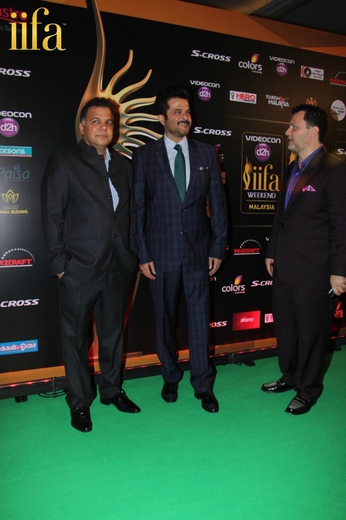 Celebs at IIFA Awards Green Carpet  - 15 / 64 photos