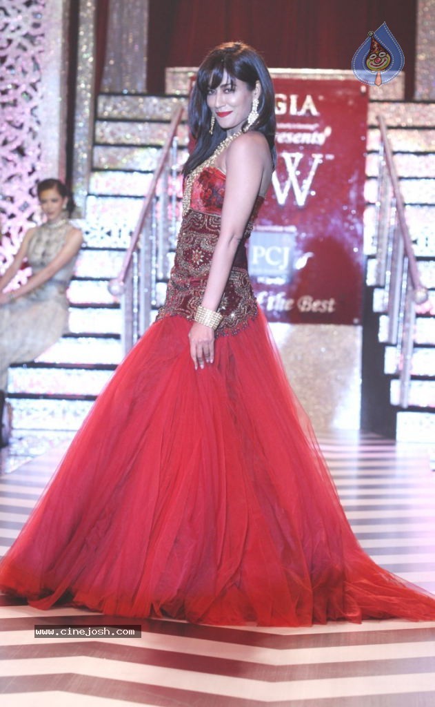 Celebs at IIJW 2013 Finale - 18 / 66 photos