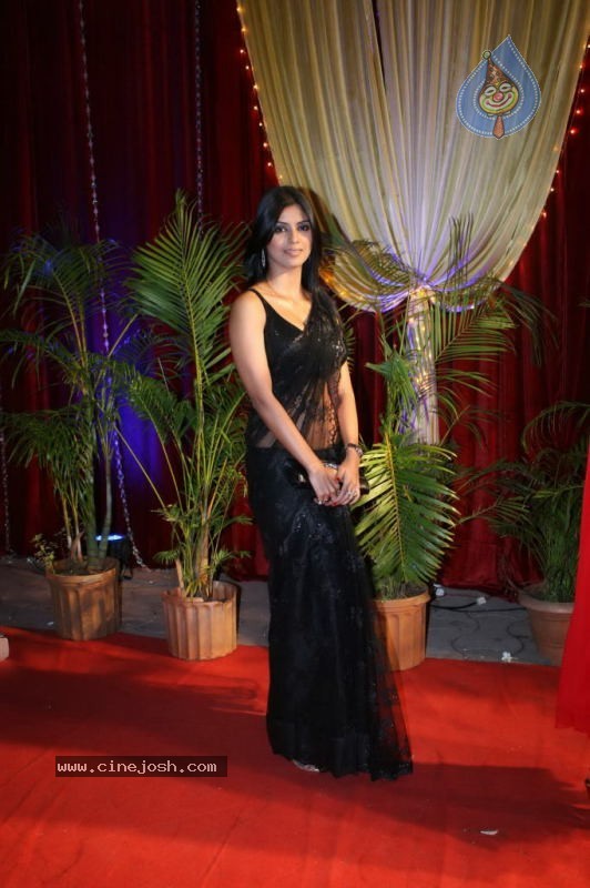 Stars at Indian Television Academy Awards - 32 / 92 photos