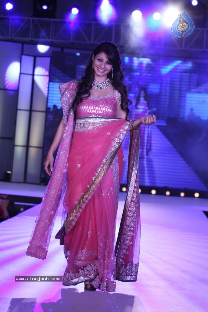 Celebs at Pidilite CPAA Fashion Show - 30 / 85 photos