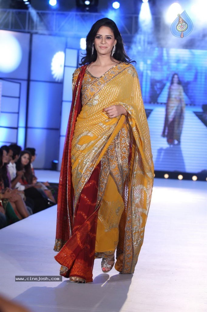 Celebs at Pidilite CPAA Fashion Show - 35 / 85 photos