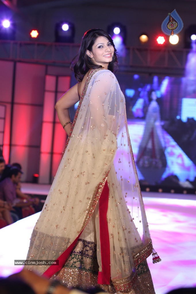 Celebs at Pidilite CPAA Fashion Show - 44 / 85 photos