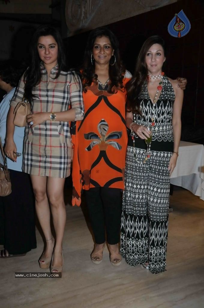 Celebs at Pre Xmas Launch Event - 25 / 34 photos