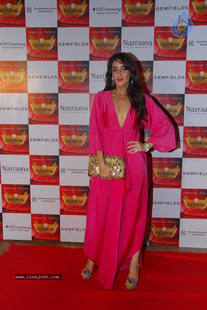 Celebs at Retail Jeweller India Awards 2014 - 109 / 119 photos