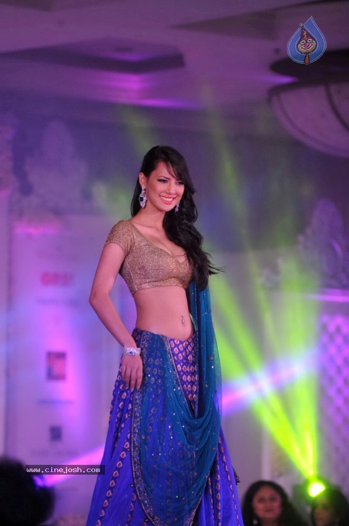 Celebs at Shehnai 2013 Show - 28 / 81 photos