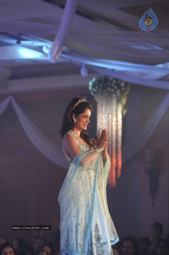 Celebs at Shehnai 2013 Show - 43 / 81 photos