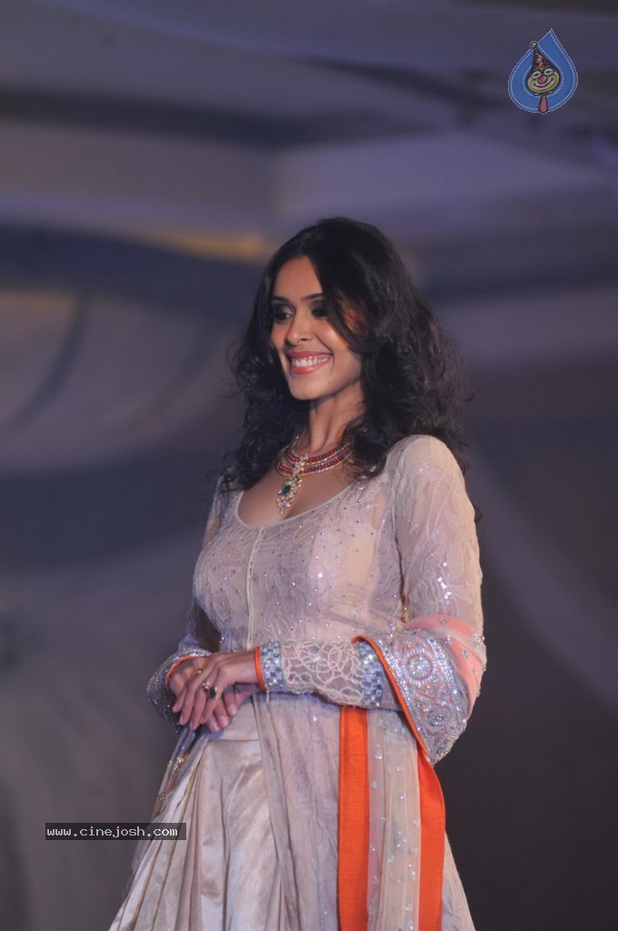 Celebs at Shehnai 2013 Show - 58 / 81 photos