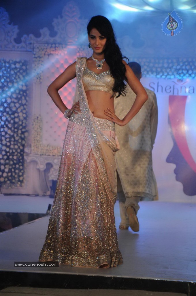 Celebs at Shehnai 2013 Show - 67 / 81 photos