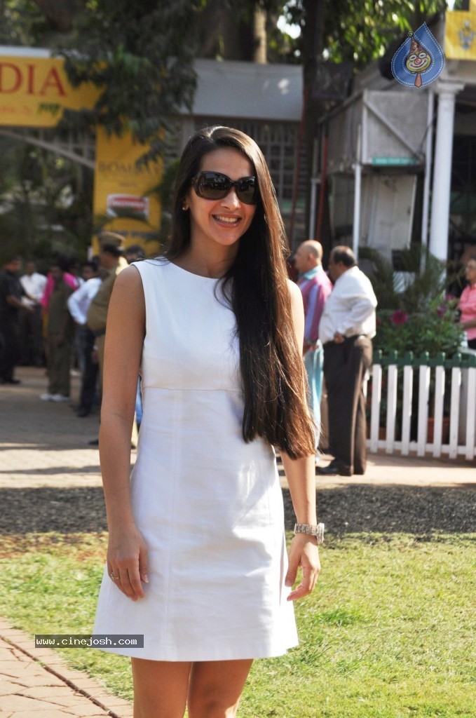 Celebs at The CN Wadia Horse Race Gold Cup - 24 / 26 photos
