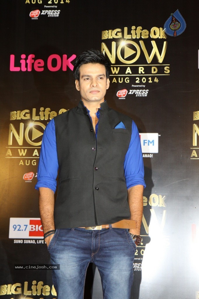 Celebs at the Life OK Now Awards 2014 - 22 / 70 photos