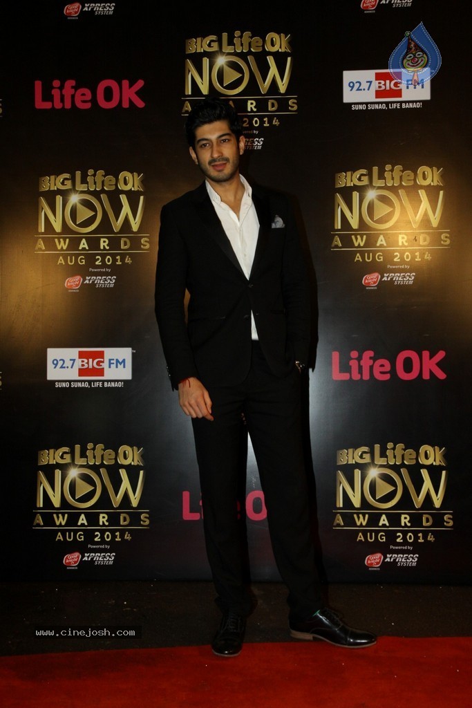 Celebs at the Life OK Now Awards 2014 - 28 / 70 photos