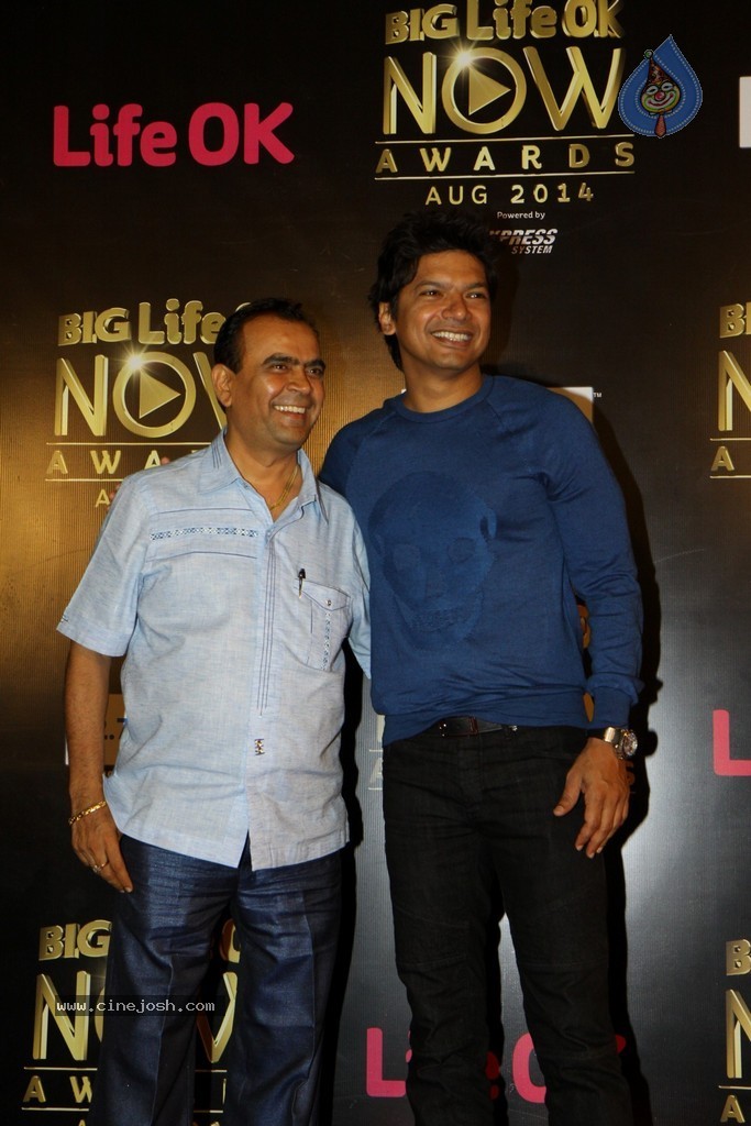 Celebs at the Life OK Now Awards 2014 - 33 / 70 photos