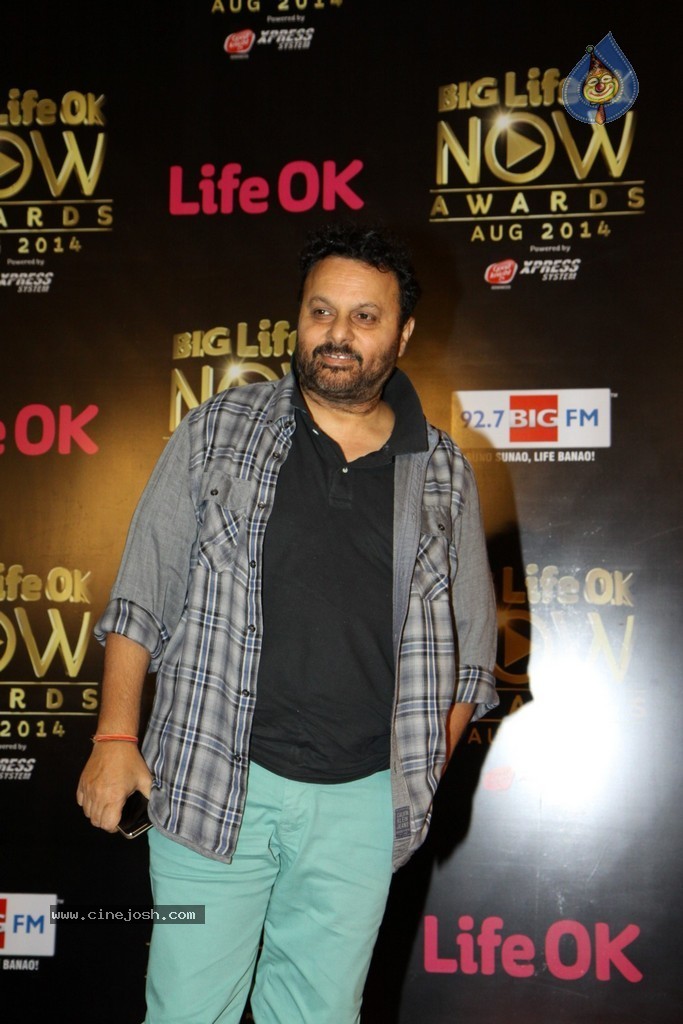 Celebs at the Life OK Now Awards 2014 - 38 / 70 photos