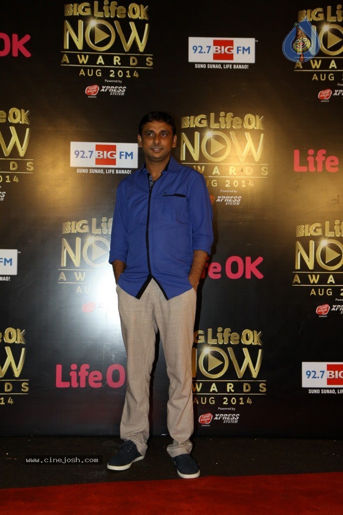 Celebs at the Life OK Now Awards 2014 - 53 / 70 photos