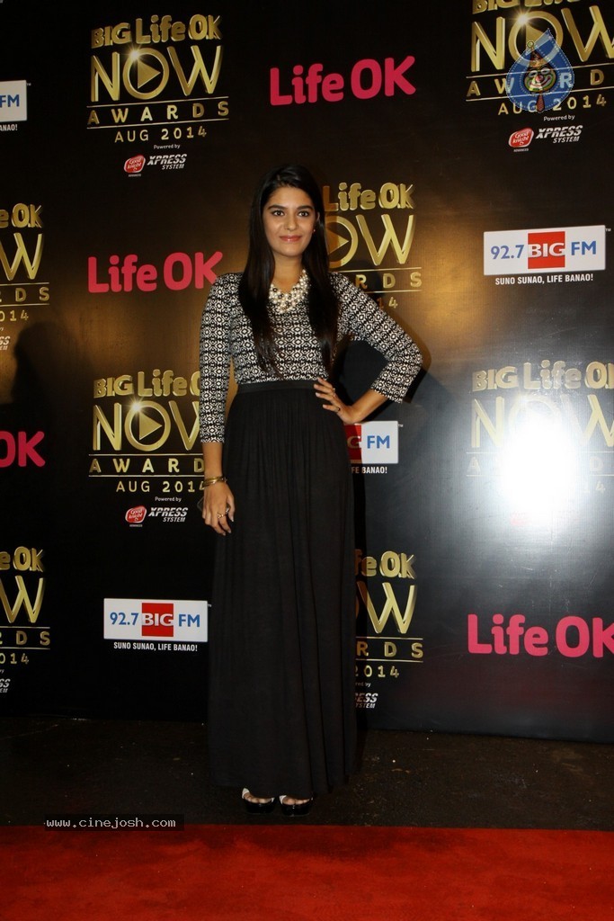 Celebs at the Life OK Now Awards 2014 - 54 / 70 photos