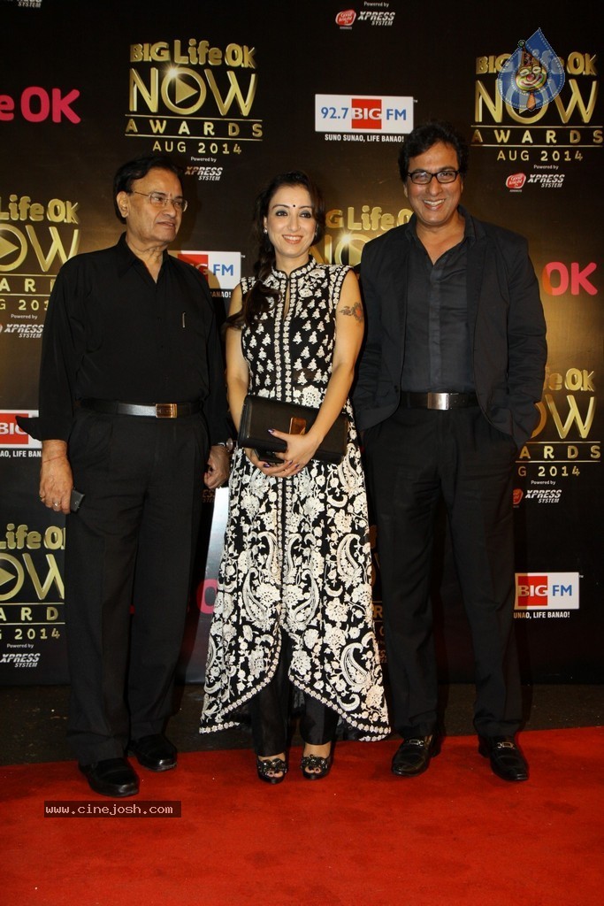 Celebs at the Life OK Now Awards 2014 - 61 / 70 photos