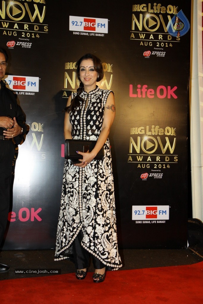 Celebs at the Life OK Now Awards 2014 - 66 / 70 photos
