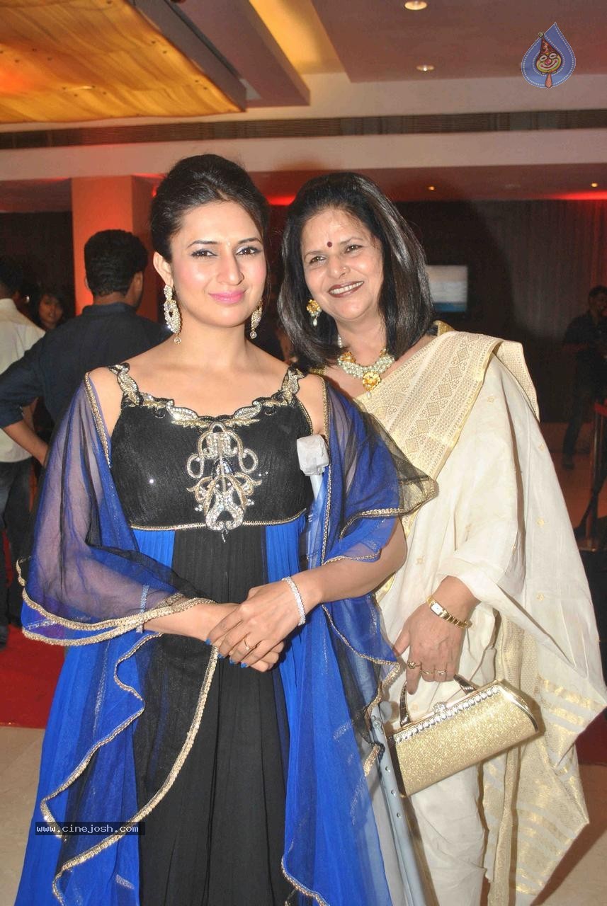 Celebs at TV Actor Karan Patel Sangeet Ceremony - 11 / 83 photos