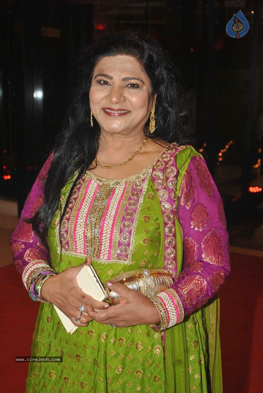 Celebs at TV Actor Karan Patel Sangeet Ceremony - 54 / 83 photos