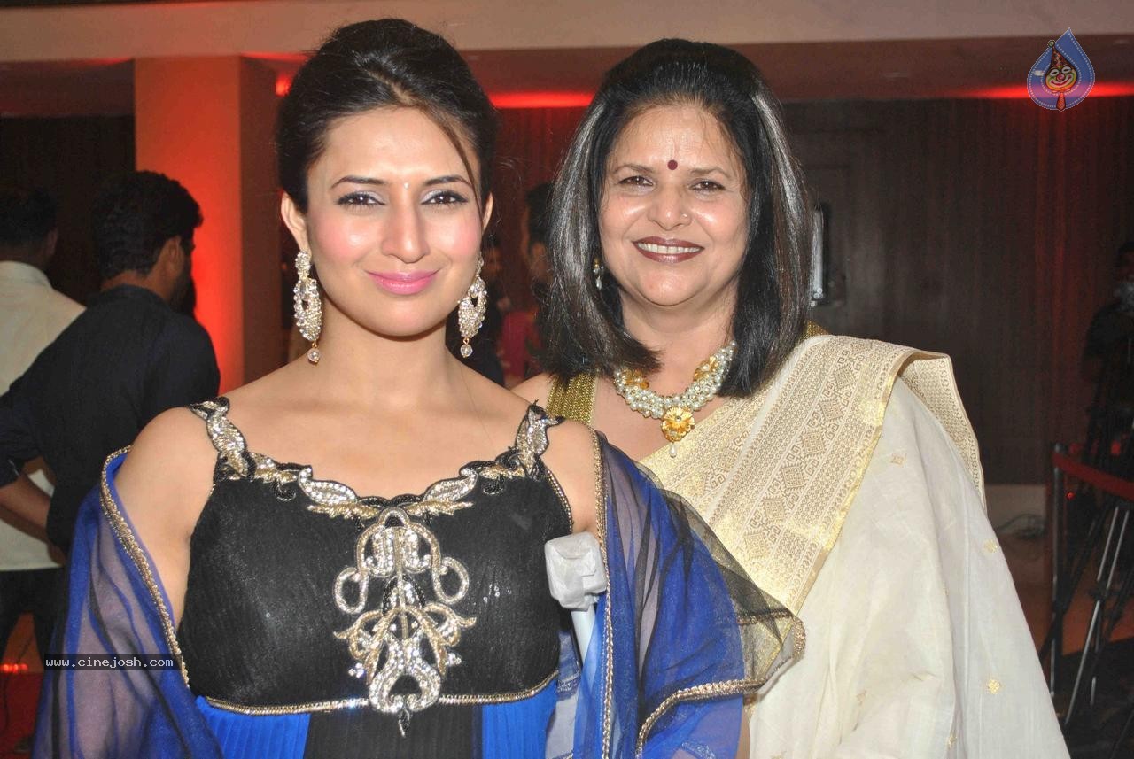 Celebs at TV Actor Karan Patel Sangeet Ceremony - 74 / 83 photos