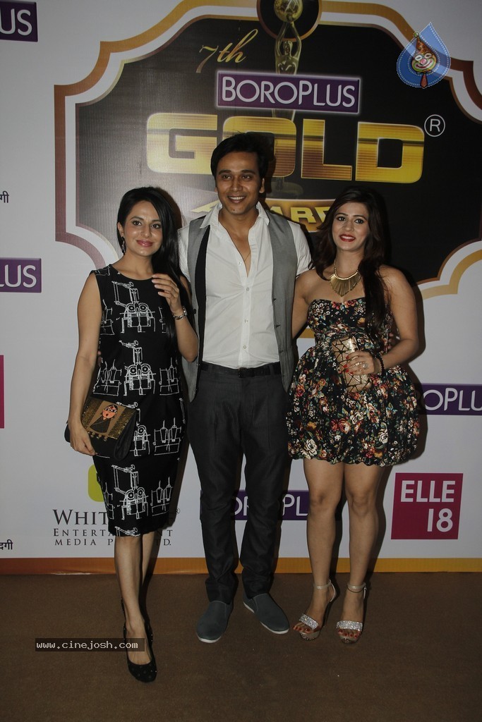 Celebs at Zee Gold Awards 2014 - 3 / 23 photos
