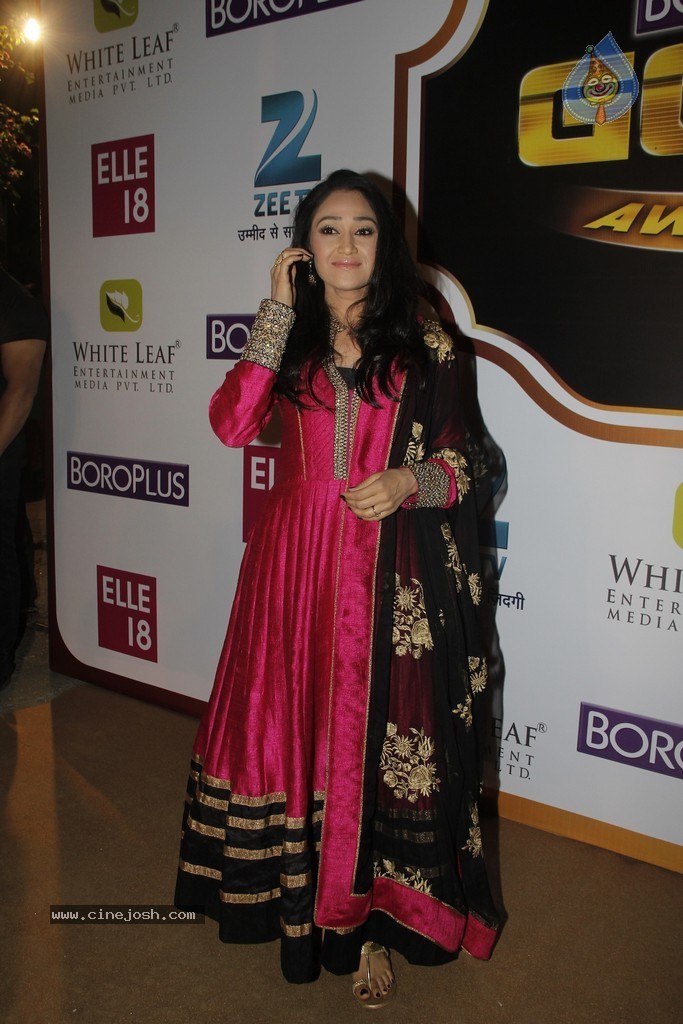 Celebs at Zee Gold Awards 2014 - 16 / 23 photos