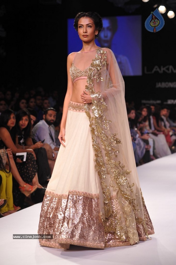 Celebs n Models Walks the Ramp at LFW 2014 - 44 / 110 photos