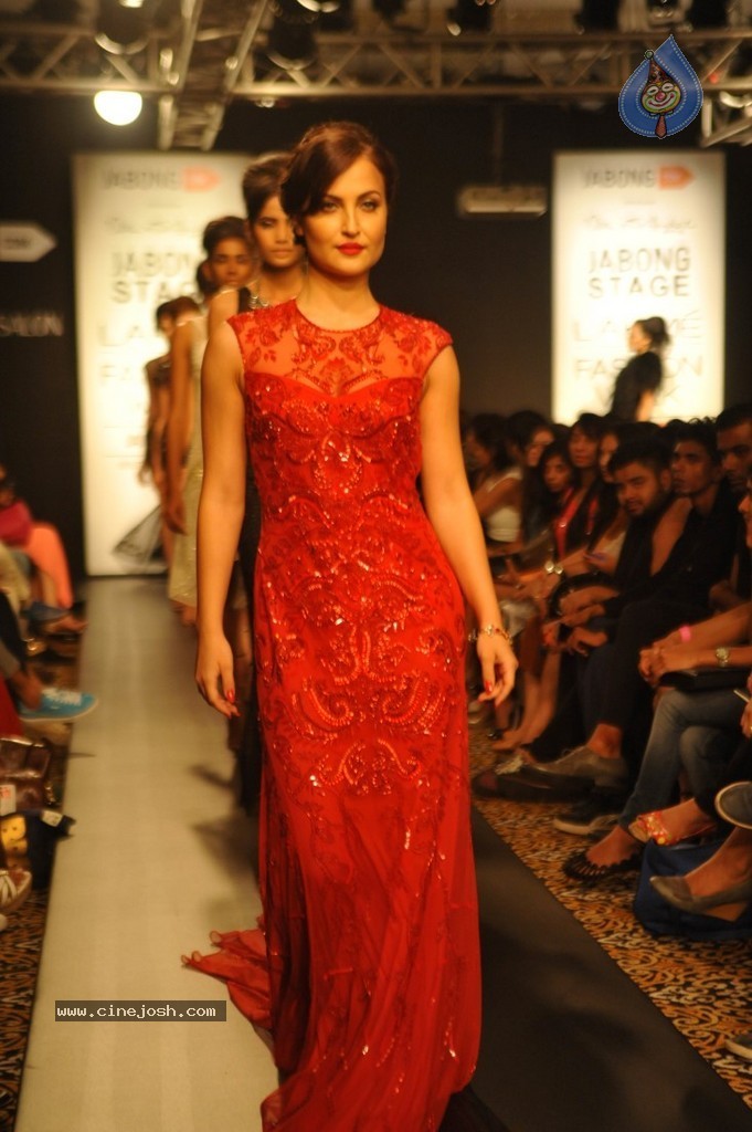 Celebs n Models Walks the Ramp at LFW 2014 - 45 / 110 photos
