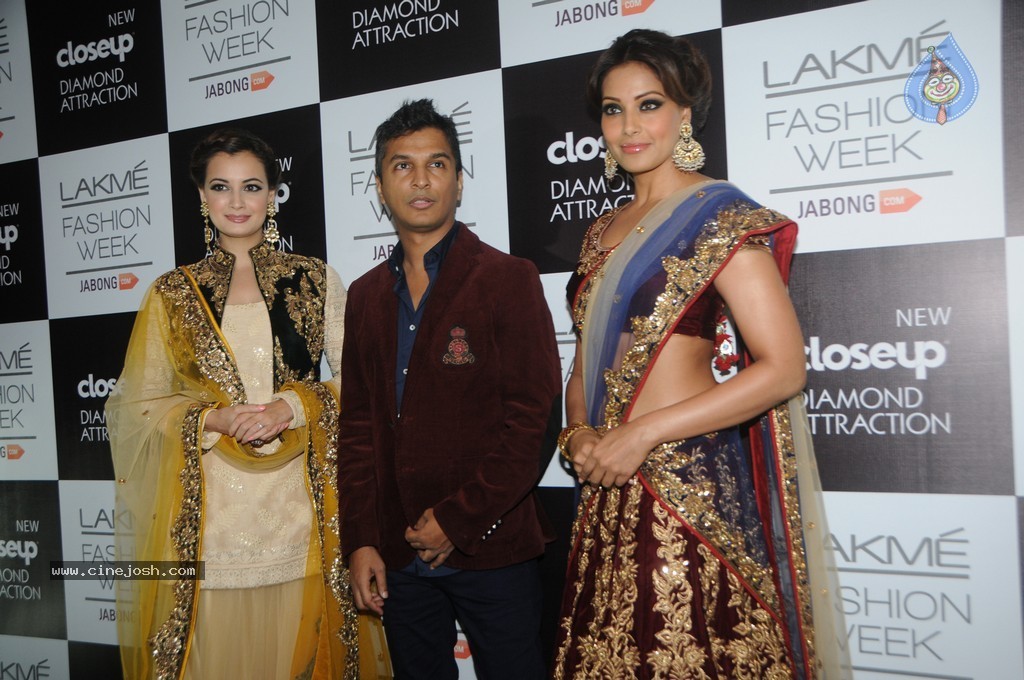 Celebs n Models Walks the Ramp at LFW 2014 - 61 / 110 photos