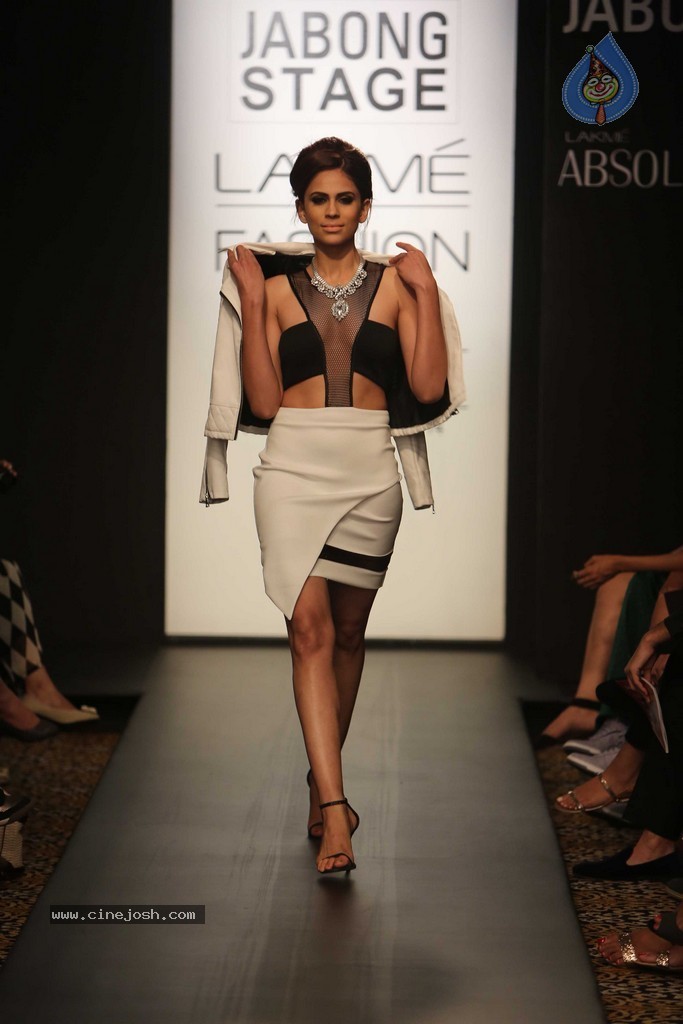 Celebs n Models Walks the Ramp at LFW 2014 - 64 / 110 photos