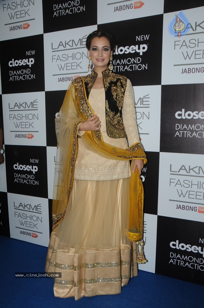 Celebs n Models Walks the Ramp at LFW 2014 - 92 / 110 photos