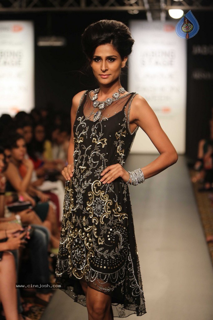 Celebs n Models Walks the Ramp at LFW 2014 - 98 / 110 photos