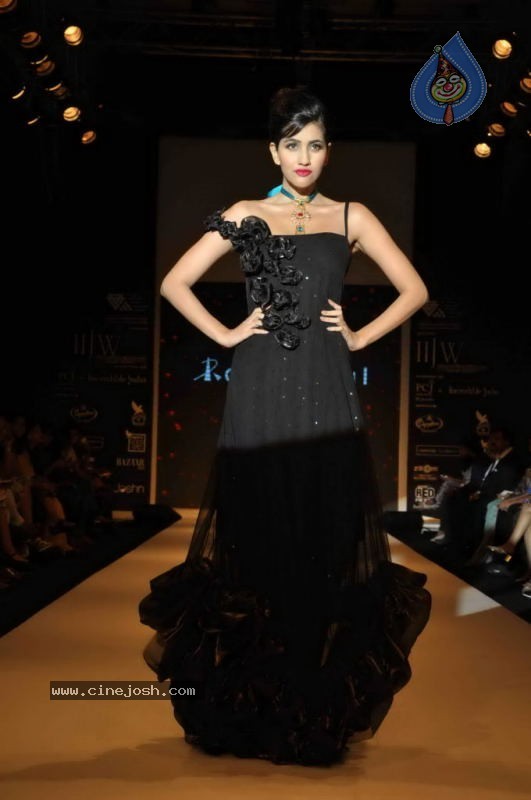 Celebs Walk the Ramp at IIJW 2011 Fashion Show Day 2 - 1 / 113 photos